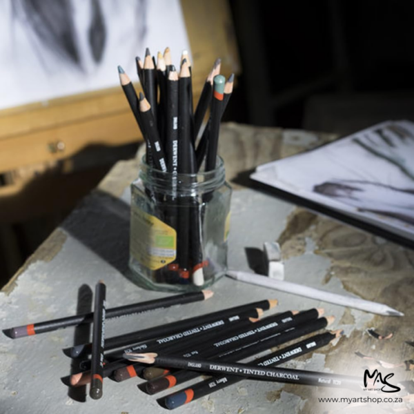 Set of 12 Derwent Tinted Charcoal Pencils