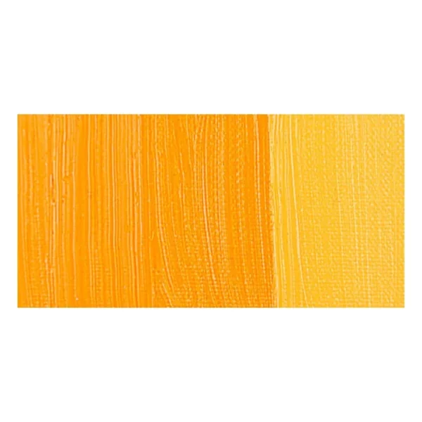 A rectangular colour swatch of Cadmium Yellow Hue Winsor and Newton Winton Oil Paint is shown across the center of the frame. The colour swatch shows the tube colour in three gradients from left to right. On a white background.