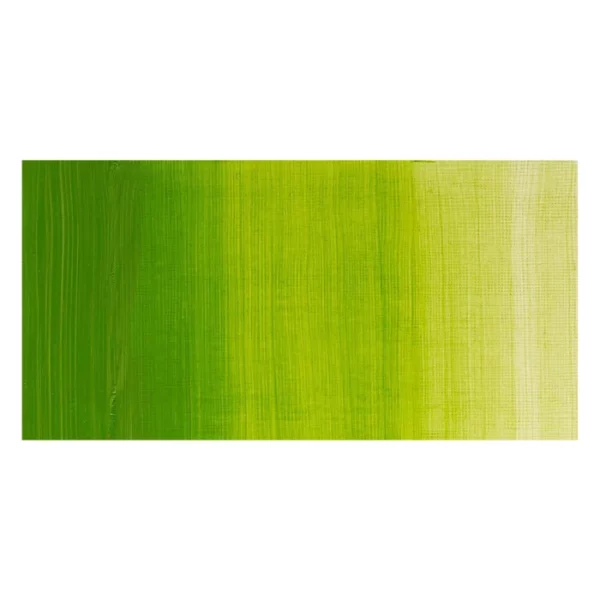 A rectangular colour swatch of Chrome Green Hue Winsor and Newton Winton Oil Paint is shown across the center of the frame. The colour swatch shows the tube colour in three gradients from left to right. On a white background.