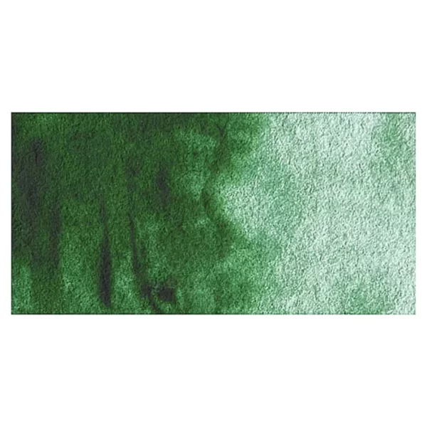 A rectangular colour swatch of Hookers Green Dark Winsor and Newton Cotman Watercolour Paint is shown across the center of the frame. The colour swatch shows the tube colour in three gradients from left to right. On a white background.