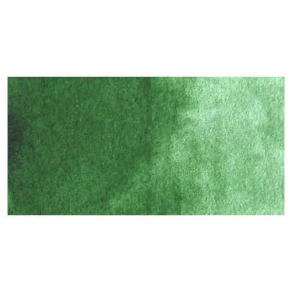 A rectangular colour swatch of Hookers Green Light Winsor and Newton Cotman Watercolour Paint is shown across the center of the frame. The colour swatch shows the tube colour in three gradients from left to right. On a white background.