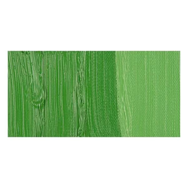 A rectangular colour swatch of Permanent Green Light Winsor and Newton Winton Oil Paint is shown across the center of the frame. The colour swatch shows the tube colour in three gradients from left to right. On a white background.