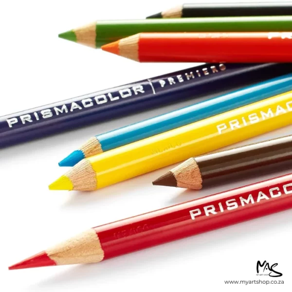 Prismacolor Premier Coloured Pencil Set
