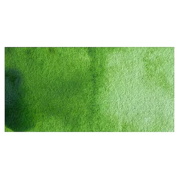 A rectangular colour swatch of Sap Green Winsor and Newton Cotman Watercolour Paint is shown across the center of the frame. The colour swatch shows the tube colour in three gradients from left to right. On a white background.