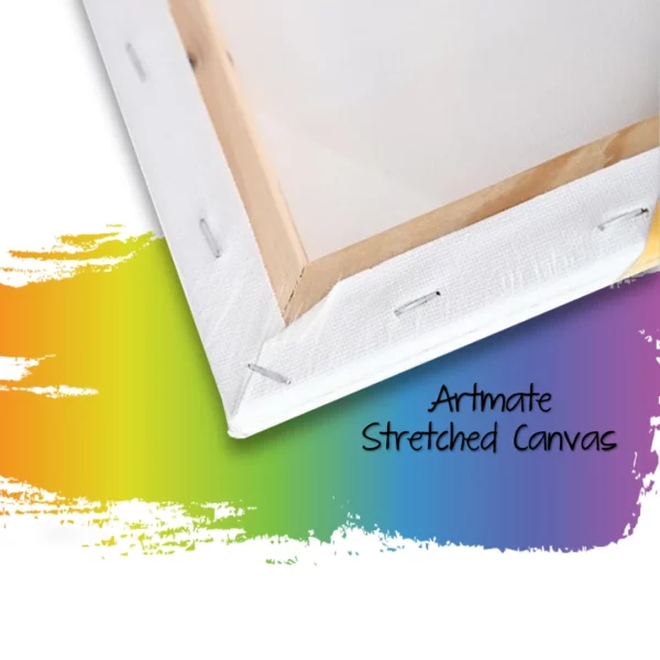 Stretched Canvas Artmate