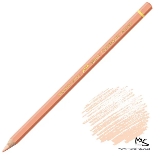 Apricot Caran D'Ache Pablo Colour Pencil