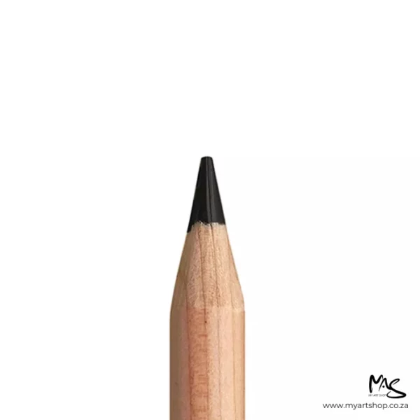 Black Caran D'Ache Luminance 6901 Colour Pencil