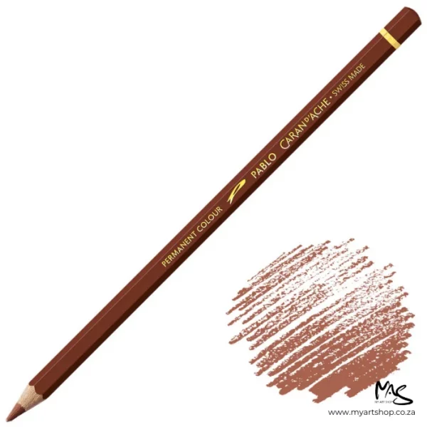 Brown Caran D'Ache Pablo Colour Pencil