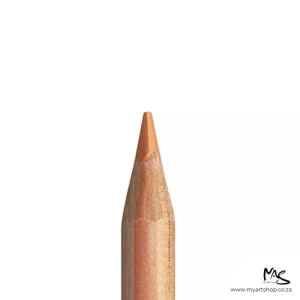 Burnt Ochre 50% Caran D'Ache Luminance 6901 Colour Pencil