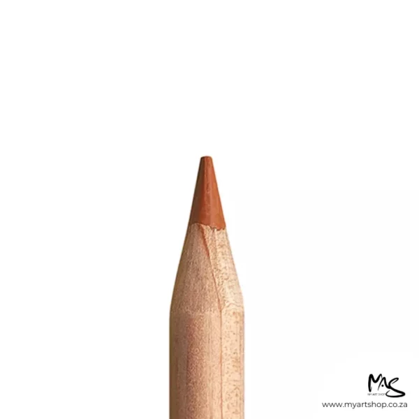 Burnt Ochre Caran D'Ache Luminance 6901 Colour Pencil