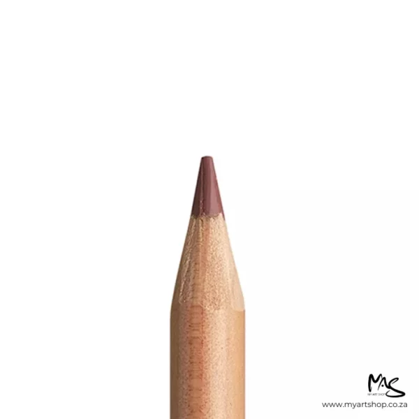 Burnt Sienna 50% Caran D'Ache Luminance 6901 Colour Pencil