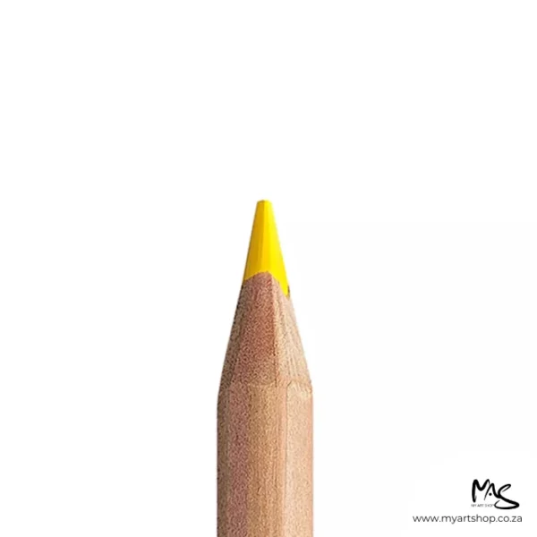 Cadmium Yellow Caran D'Ache Luminance 6901 Colour Pencil