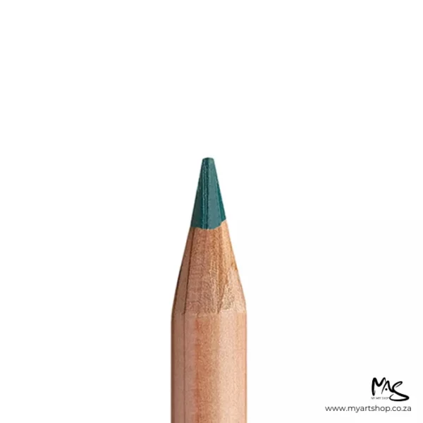 Dark English Green Caran D'Ache Luminance 6901 Colour Pencil