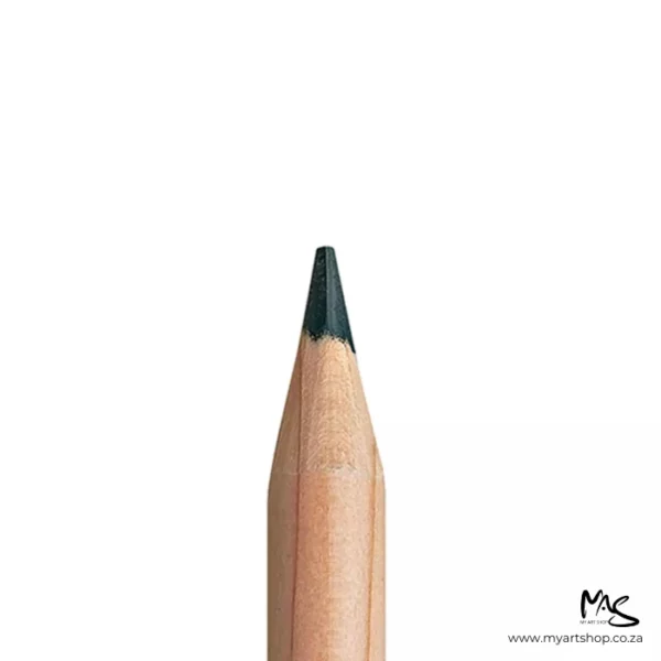 Dark Sap Green Caran D'Ache Luminance 6901 Colour Pencil