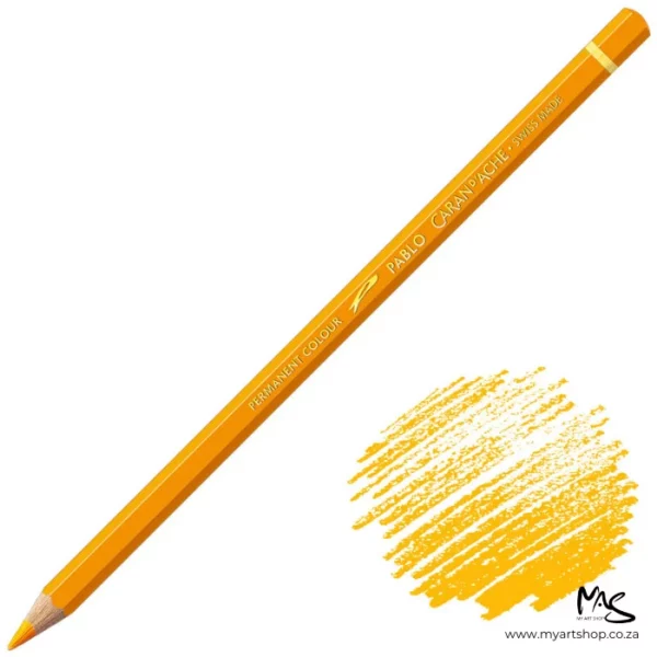 Golden Yellow Caran D'Ache Pablo Colour Pencil