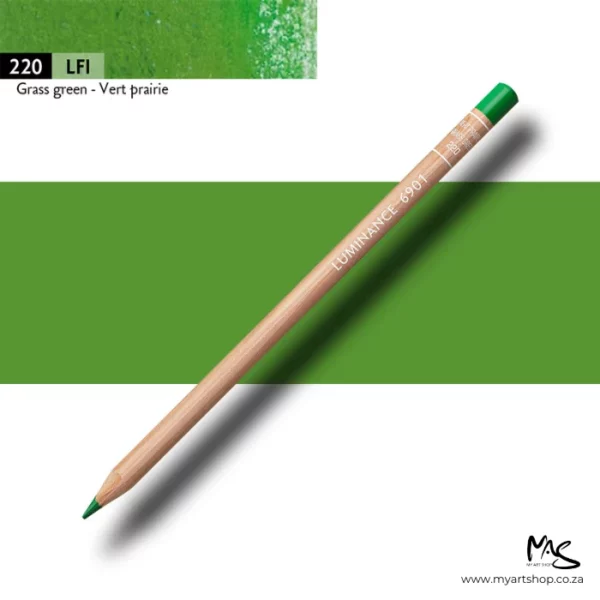 Grass Green Caran D'Ache Luminance 6901 Colour Pencil