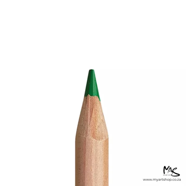 Grass Green Caran D'Ache Luminance 6901 Colour Pencil