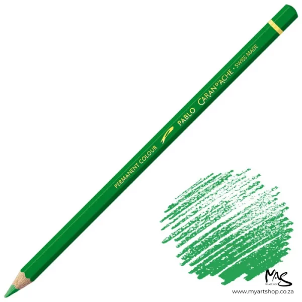 Grass Green Caran D'Ache Pablo Colour Pencil
