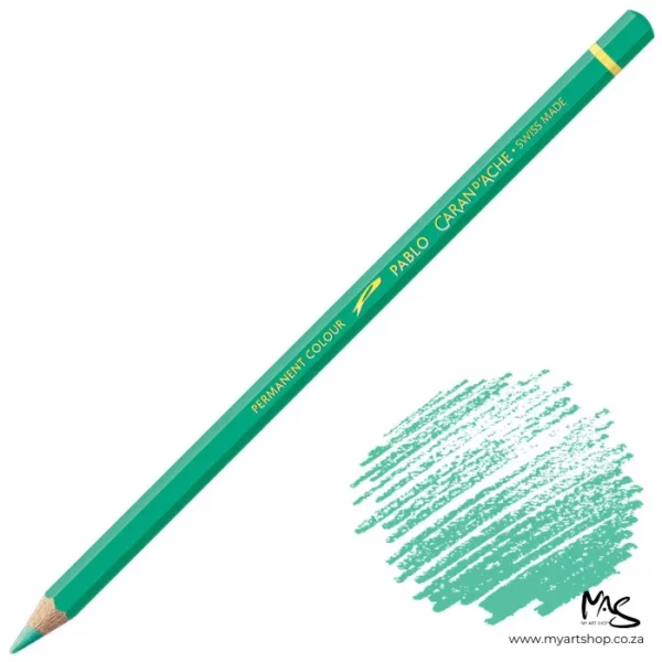 Greyish Green Caran D'Ache Pablo Colour Pencil