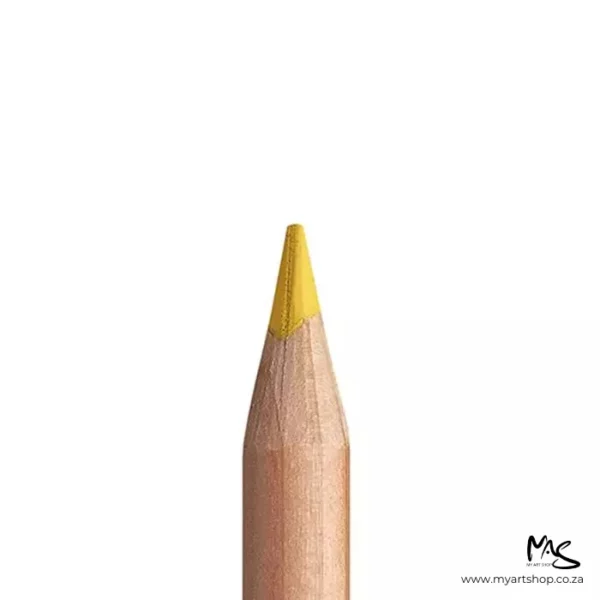 Indian Yellow Caran D'Ache Luminance 6901 Colour Pencil
