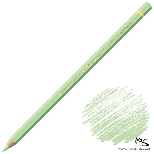 Light Green Caran D'Ache Pablo Colour Pencil