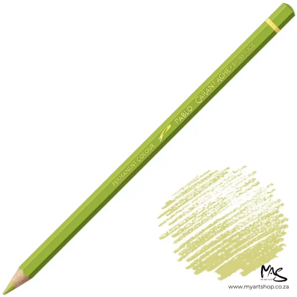 Light Olive Caran D'Ache Pablo Colour Pencil