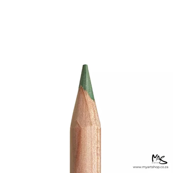 Moss Green Caran D'Ache Luminance 6901 Colour Pencil