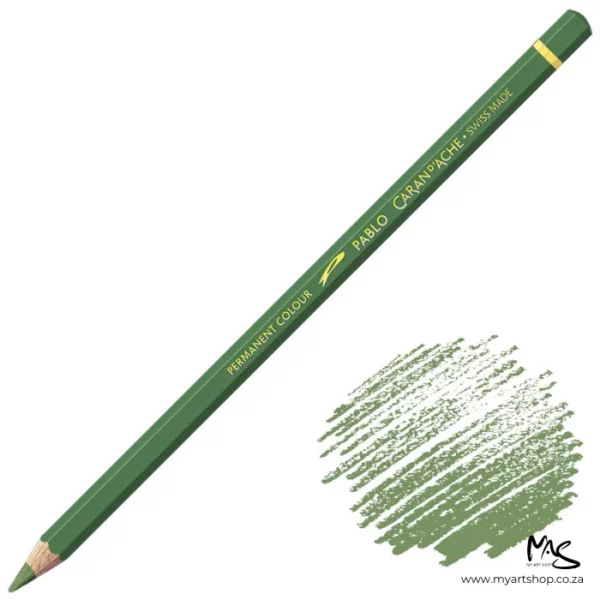 Moss Green Caran D'Ache Pablo Colour Pencil