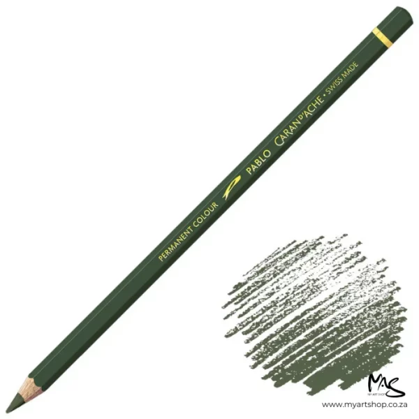 Olive Black Caran D'Ache Pablo Colour Pencil