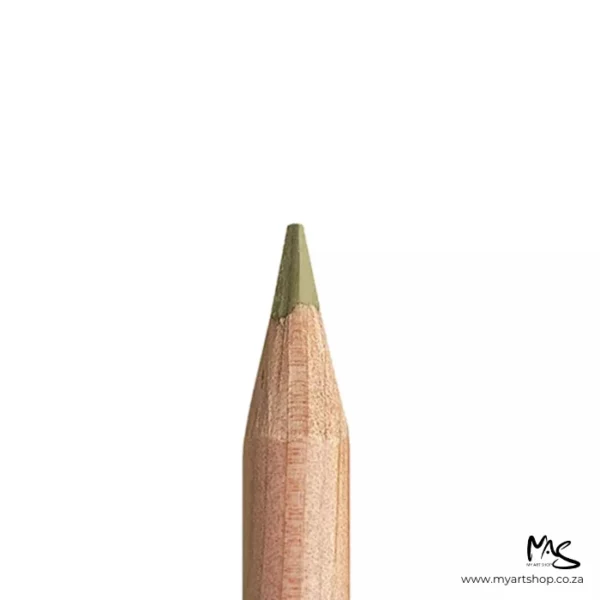 Olive Brown 50% Caran D'Ache Luminance 6901 Colour Pencil