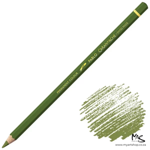 Olive Grey Caran D'Ache Pablo Colour Pencil