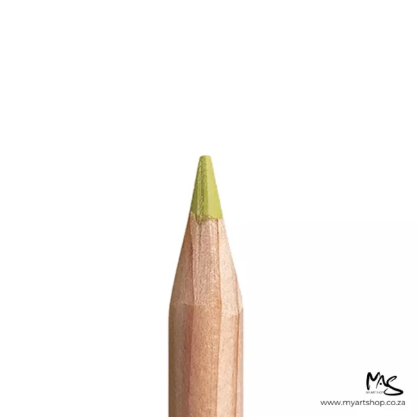 Olive Yellow Caran D'Ache Luminance 6901 Colour Pencil