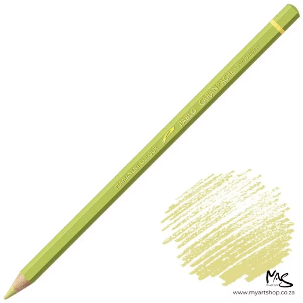 Olive Yellow Caran D'Ache Pablo Colour Pencil