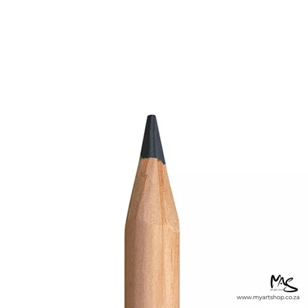 Paynes Grey Caran D'Ache Luminance 6901 Colour Pencil