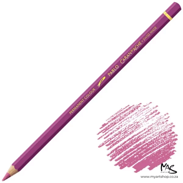 Purple Violet Caran D'Ache Pablo Colour Pencil