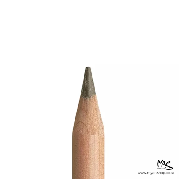 Raw Umber Caran D'Ache Luminance 6901 Colour Pencil