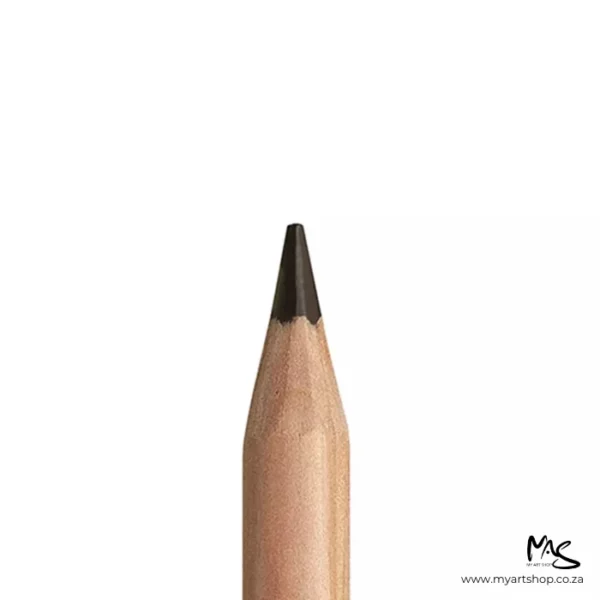 Sepia Caran D'Ache Luminance 6901 Colour Pencil