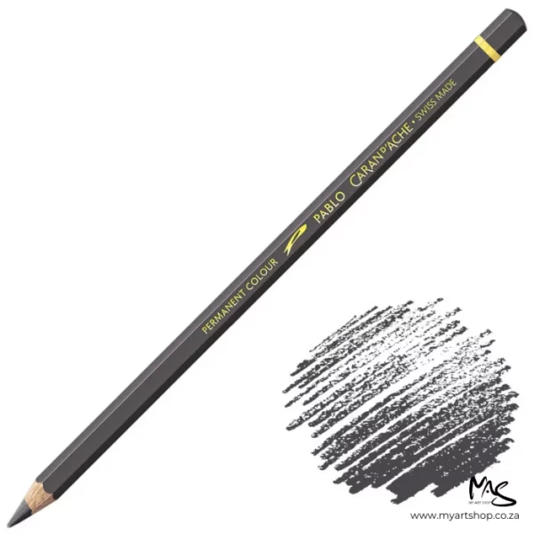 Sepia Caran D'Ache Pablo Colour Pencil