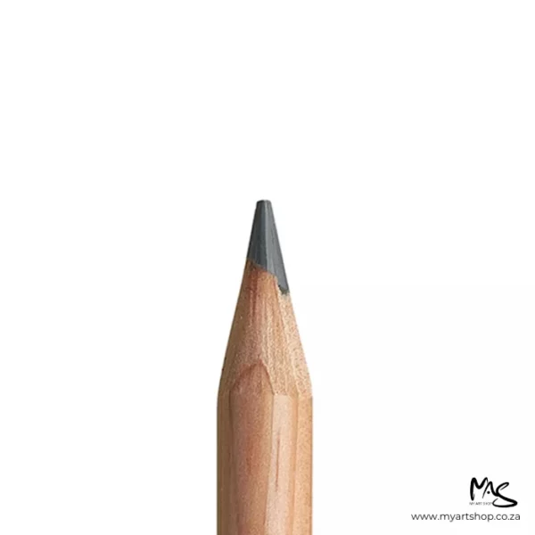 Slate Grey Caran D'Ache Luminance 6901 Colour Pencil