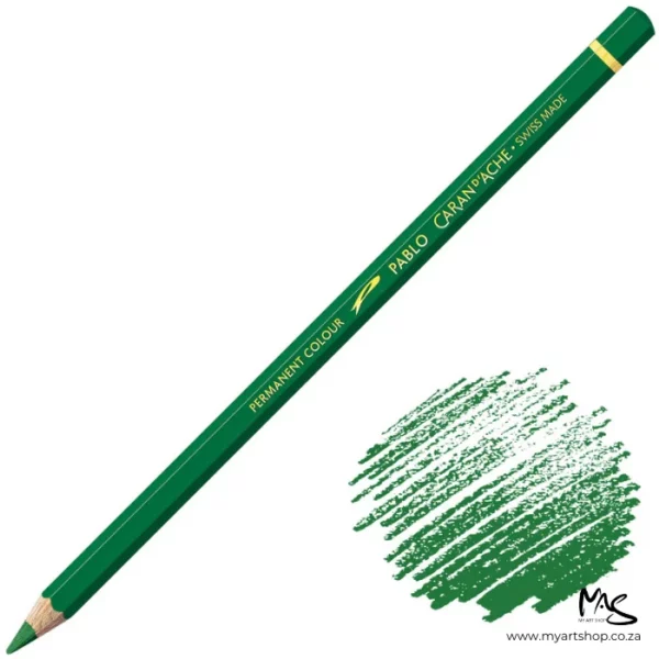 Spruce Green Caran D'Ache Pablo Colour Pencil