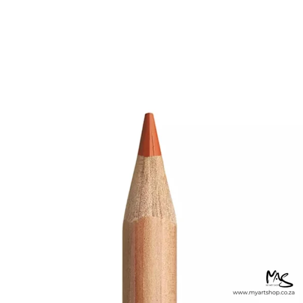 Terracotta Caran D'Ache Luminance 6901 Colour Pencil