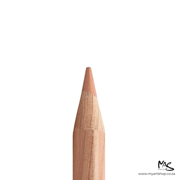 Warm Earth 5% Caran D'Ache Luminance 6901 Colour Pencil