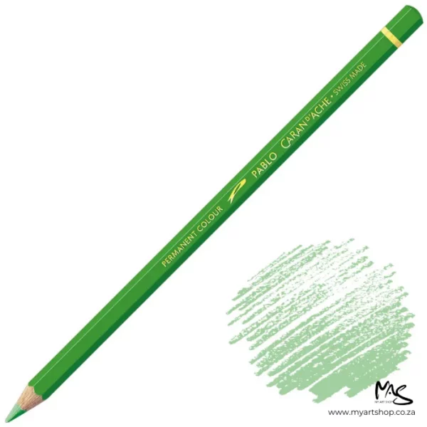 Yellow Green Caran D'Ache Pablo Colour Pencil