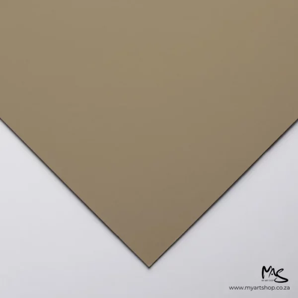 Clairefontaine Pastelmat Sheet Brown