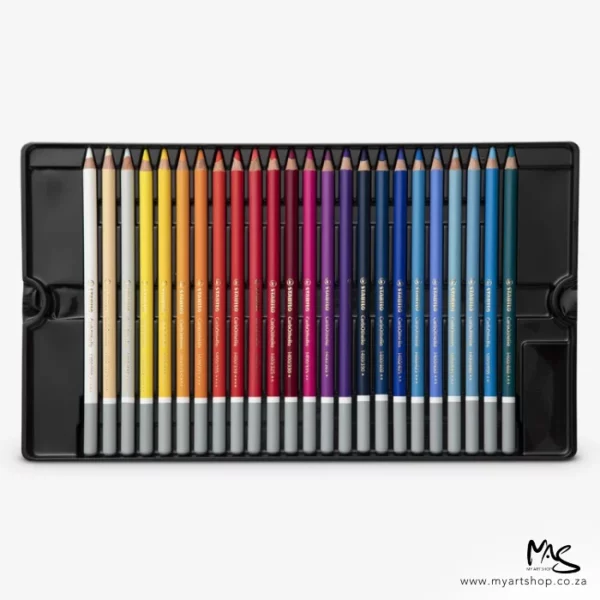 A single tray from the Stabilo CarbOthello Chalk Pastel Pencil Set of 60 can be seen in the center of the frame. The pencils are lined up next to each other. On a white background.