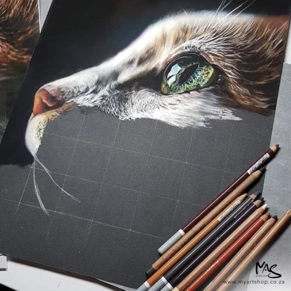 An umcompleted drawing of a kitten face, side profile is shown in this frame, using the Stabilo CarbOthello Chalk Pastel Pencils. The picture is being drawn on black paper and you can see the gridlines where the picture is incomplete. There are a few pencils alying in the bottom right hand corner of the frame, just off the picture. The image is cut off by the frame.