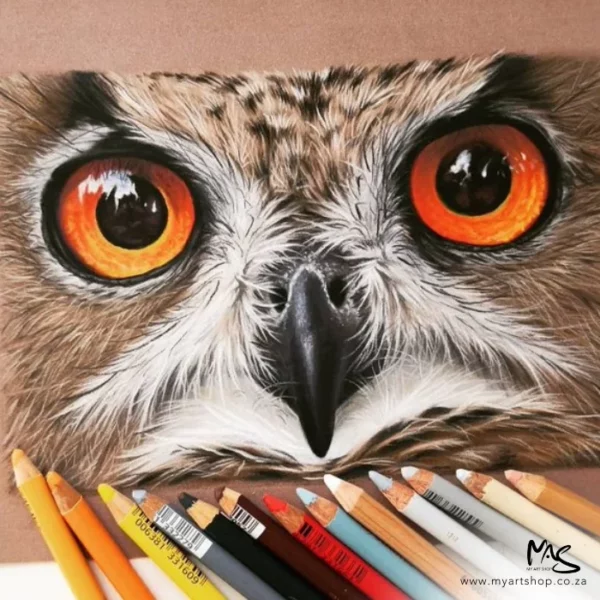 A close up of an image drawn using the Stabilo CarbOthello Chalk Pastel Pencils of an owl's eyes and beak. It has been drawn on a brown paper which can just be seen at the top of the frame. There are various pencils lines up haphazardly along the bottom of the frame. Only the tips can be seen, the rest are cut off by the frame.