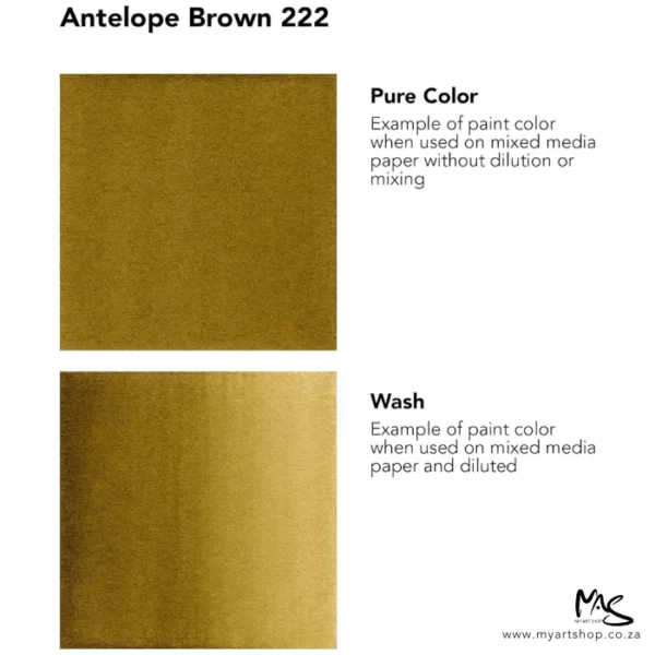 A colour chart for Antelope Brown Daler Rowney FW Acrylic Ink. There are two colour block squares along the left hand side of the frame with text to the right of each square. The name of the colour is shown at the top of the frame. On a white background.