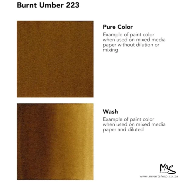 A colour chart for Burnt Umber Daler Rowney FW Acrylic Ink. There are two colour block squares along the left hand side of the frame with text to the right of each square. The name of the colour is shown at the top of the frame. On a white background.