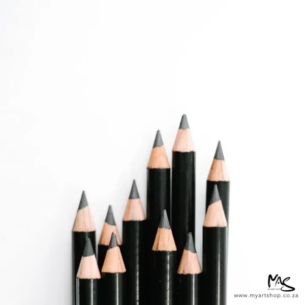 There are 11 General's Layout Extra Black Pencils coming out from the bottom of the frame. They are of varying heights in the frame. The lead tips are pointing towards the top of the frame. The barrels of the pencils are black. On a white background.